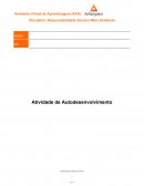 RSMA AULA-03 TEMPLATE AUTODESENVOLVIMENTO AGENDA 21_final RESPONSABILIDADE_SOCIAL_E_MEIO_AMBIENTE_ANHANGUERA