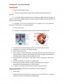 Fisiologia Renal