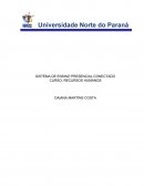 ASPECTOS ORGANIZACIONAIS DE UMA EMPRESA