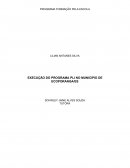 EXECUÇÃO DO PROGRAMA PLI NO MUNICIPIO DE ECOPORANGA/ES