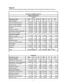 Analise Vertical e Horizontal do Balanço Patrimonial e da Demonstração do Resultado de Exercício