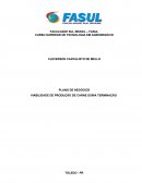 PLANO DE NEGÓCIOS VIABILIDADE DE PRODUÇÃO DE CARNE SUÍNA TERMINAÇÃO