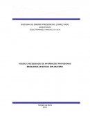 ACESSO E NECESSIDADES DE INFORMAÇÕES PROFISSIONAIS BRASILEIROS:UM ESTUDO EXPLORATÓRIO