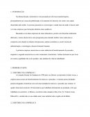 PESQUISA COM DUAS EMPRESAS Relações interpessoais, análise econômica e social, teorias da administração, tecnologia e desenvolvimento humano