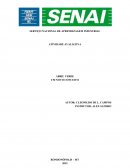 O SERVIÇO NACIONAL DE APRENDIZAGEM INDUSTRIAL