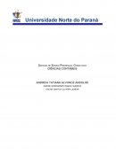 Ciências Contábeis - Produção Textual Grupo 6º semestre