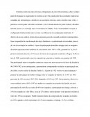 Posturas do serviço social frente às políticas sociais no período de 1960 a 1980