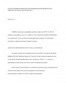 EXCELENTÍSSIMO SENHOR DOUTOR DESEMBARGADOR PRESIDENTE DO TRIBUNAL DE JUSTIÇA DO ESTADO DE (...)