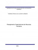 O Planejamento Organizacional de Recursos Humanos