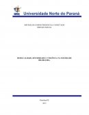 DESIGUALDADE, DIVERSIDADE E VIOLÊNCIA DA SOCIEDADE BRASILEIRA