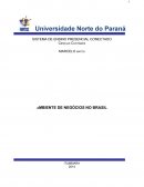 O AMBIENTE DE NEGÓCIOS NO BRASIL