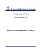 PRODUÇAO INTERDISCIPLINAR INDIVIDUAL