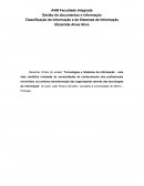 Resenha Crítica do ensaio: Tecnologias e Sistemas de Informação