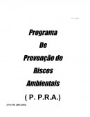 Programa De Prevenção de Riscos Ambientais