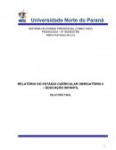 RELATÓRIO DO ESTÁGIO CURRICULAR OBRIGATÓRIO II – EDUCAÇÃO INFANTIL