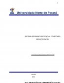 A ELABORAÇÃO DE UM DIAGNÓSTICO DA PROBLEMÁTICA SOCIAL LOCAL/REGIONAL NA CONSTRUÇÃO DA POLÍTICA DA HABITAÇÃO