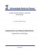 ADMINISTRAÇÃO E SUAS PREMISSAS DIMENSIONADAS