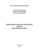 O COMPORTAMENTO HUMANO NAS ORGANIZAÇOES - LIDERANÇA