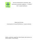 Caracterização dos Processos Morfodinâmicos e Impactos ambientais