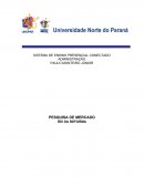 SISTEMA DE ENSINO PRESENCIAL CONECTADO ADMINISTRAÇÃO