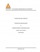 TECNOLOGIA EM LOGÍSTICA TÉCNICAS DE NEGOCIAÇÃO & COMPORTAMENTO ORGANIZACIONAL