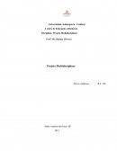 Centro de Educação a Distância Disciplina: Projeto Multidisciplinar