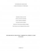 METABOLISMO DE AMINOÁCIDOS, CARBOIDRATOS, LIPÍDEOS E ÁCIDOS NUCLEICOS