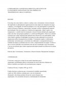 O TREINAMENTO E O DESENVOLVIMENTO NA INFLUENCIA DO PLANEJAMENTO ESTRATÉGICO DE UMA EMPRESA DE TRANSPORTE DE CARGA E LOGÍSTICA.