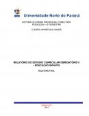 RELATÓRIO DO ESTÁGIO CURRICULAR OBRIGATÓRIO II – EDUCAÇÃO INFANTIL RELATÓRIO FINAL