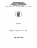 A ESPECIALIZAÇÃO EM GESTÃO DE ORGANIZAÇÃO PÚBLICA EM SAÚDE