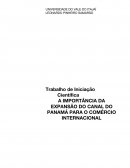 A IMPORTÂNCIA DA EXPANSÃO DO CANAL DO PANAMÁ PARA O COMÉRCIO INTERNACIONAL