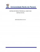 SISTEMA DE ENSINO PRESENCIAL CONECTADO SERVIÇO SOCIAL