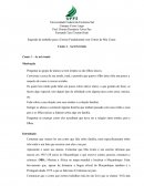 Plano 6º ano Mia Couto