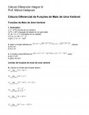 Exercicios de integral