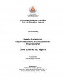 Empreendedorismo e Comportamento Organizacional