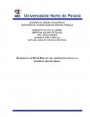 DIAGNÓSTICO NO SETOR PÚBLICO: UMA OBSERVAÇÃO PRÁTICA DO SISTEMA DE GESTÃO PÚBLICA