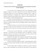 O sujeito que aprende