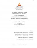 Os Processos Administrativos