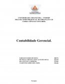 A Contabilidade Gerencial