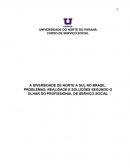 A DIVERSIDADE DE NORTE A SUL NO BRASIL: PROBLEMAS, REALIDADE E SOLUÇÕES SEGUNDO O OLHAR DO PROFISSIONAL DE SERVIÇO SOCIAL