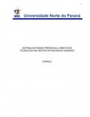 ESTUDO DE CASO RESTAURANTE FELLINE