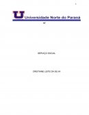 A elaboracão de um diagnostico da problematica social/ regional e a importancia dos indicadores sociais