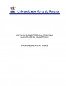 Administração - 3º Semestre portifolio