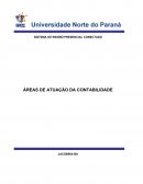 Areas de Atuação da Contabilidade