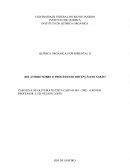Relatório sobre processo de obtenção de sabão