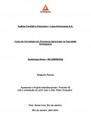 Análise Contábil e Financeira – Lojas Americanas S.A.