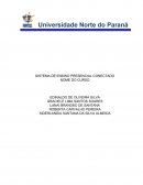 Administração financeira e orçamentaria: orçamento de capital