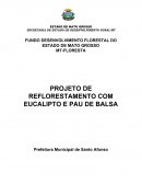 PROJETO DE REFLORESTAMENTO COM EUCALIPTO E PAU DE BALSA