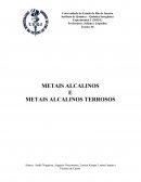 Relatório inorgânica METAIS ALCALINOS E METAIS ALCALINOS TERROSOS