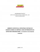 AMBIENTE CONTEXTUAL, ESTRATÉGIA E ESTÁGIO DE DESENVOLVIMENO DA EMPRESA COMO DETERMINANTES DA ESTRUTURA ORGANIZACIONAL: Um estudo em uma empresa comercial.